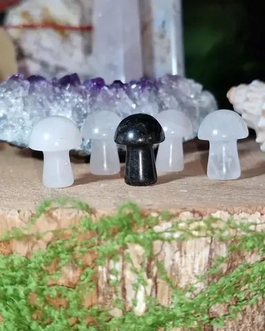 Mini Crystal Mushroom